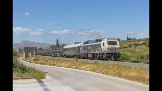 TRENES MILITARES EN RONDA