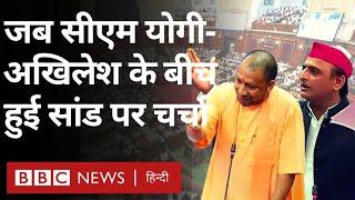 Yogi Adityanath Akhilesh yadav: जब सीएम योगी - अखिलेश यादव के बीच हुई सांड पर चर्चा (BBC Hindi)