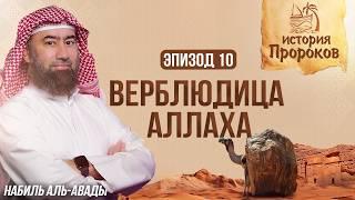 История Пророков #10: Чудо Пророка Салиха - Верблюдица Аллаха | Шейх Набиль аль-Авады