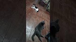 Спокойный вечер