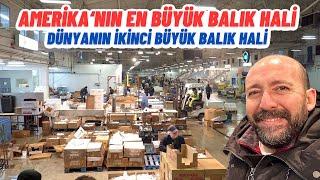 Amerika'nın En Büyük Balık Hali: Dünyanın İkinci En Büyük Balık Hali