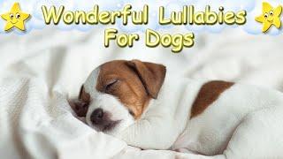 Sleep Music For Your Dog and Puppy  Calm Your Dog Effectively Within Minutes