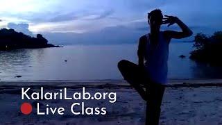 Kalaripayattu Training by KalariLab - Live Class for Central & South American Students