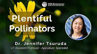 Plentiful Pollinators, with Dr. Jennifer Tsuruda