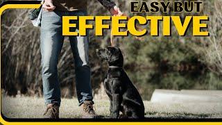 Teach Your Puppy Sit....The Super Easy Way