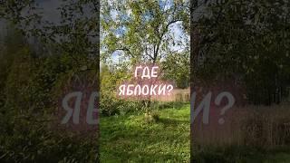 Жизнь с юмором #юмор #деревня #жизнь #жизньвдеревне