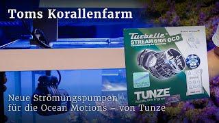 Neue Strömungspumpen für die Ocean Motions - von Tunze