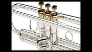 Andre T. Echeveria  My Way   Trumpet