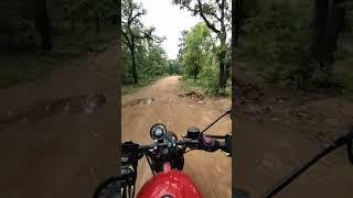 . #forest #jungle #jungleride #ride #bikelover #youtubeshorts #youtube #shorts #trending #travel