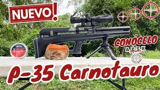 ESTE RIFLE TE VA A DEJAR IMPRESIONADO ‼️ Probamos el p35 carnotauro y este fue el resultado