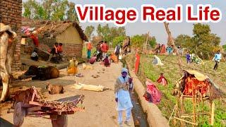 Some Undiscovered Villages Of India [] Very Poor Village In Uttar Pradesh [] Real Life India Daily.