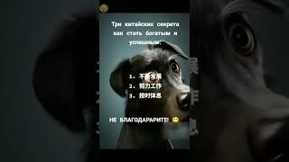 Китайский секрет!