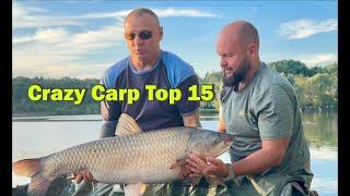 Рибалка на Уляниках! Crazy Carp Best of 15 Fish! Карпфішинг 2024!