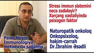 DOKTOR İBRAHİM ESEDLİ. STRESS İMMUN SİSTEMİNİ NECE ZEDELEYİR? XERÇENG XESTELİYİNDE PSİXOGEN FAKTOR.