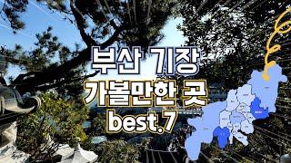 안 보고 가면 후회하는 부산 기장 여행지 Best7! 기장에서 가장 인기 좋은 여행지 일곱 곳만 모아서 소개해 드립니다.