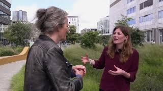 Zondag een nieuwe docu over groen in Amsterdam: Stadsnatuur in Opmars