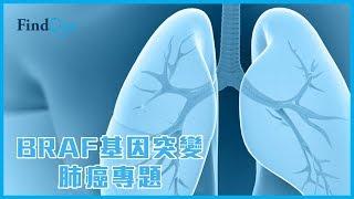 BRAF基因突變 肺癌 專題 - 丘德芬 臨床腫瘤科專科醫生@FindDoc.com