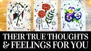 ️ THE HONEST TRUTH About Their Thoughts & Feelings  PICK A CARD ️ Love Tarot Reading