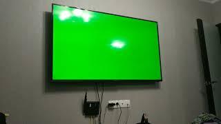 Косяк TELEFUNKEN TF-LED65S37T2SU Зелёный экран