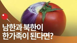 통일이 여전히 가능할까? 북한과 남한이 통일하면 벌어질 일들 총정리(스톱모션)