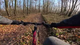 November Bike Trip. Capriana Forest. Moldova. 2024-11-30