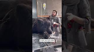 سگ های ماده بهتر از قبل از اولین فحلی عقیم بشن اما در نر ها هر کدام بستگی به نژادش داره از 20 ماه..