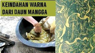 Pewarnaan Dengan Daun Mangga|| Ramah lingkungan dan mudah di dapat