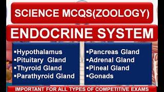 Important MCQs on Human Endocrine System|Glands & Hormones|Pancreas-Thyroid-Adrenal|Edu4Everyone