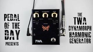 Totally Wycked Audio Dynamorph™ Envelope Controlled Harmonic Generator