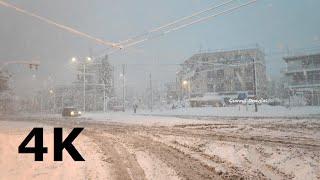 Χιόνια στο Χαλάνδρι / Snow in Chalandri 24-25/01/2022 - Κακοκαιρία "Ελπίς" (4K Athens Snow)