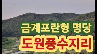 최고 부자터 보시는 것만으로도 행운이다. 풍수지리 명당 금계포란형국, 도원풍수지리 세종철학관