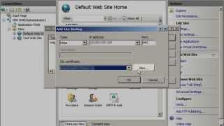  Cómo instalar un certificado SSL en un servidor IIS 7 de Microsoft y activar HTTPS