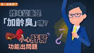 【華人健康網】健康小學堂 - 體味變重是「加齡臭」嗎？小心肝腎功能出問題，8招有效告別老人味