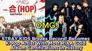 STRAY KIDS Breaks Record! Becomes K-Pop Artist With Most RIAA Gold Album Certifications In History