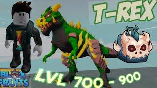 Blox Fruits Adventure: Leveling from 700 to 900 Using T-Rex Fruit + Shark V2 Unlock!