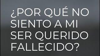 Natalia Geell | El otro lado | ¿ Por qué no siento a mi ser fallecido?