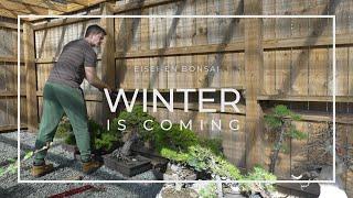 Winter is Coming at Eisei-en Bonsai Garden