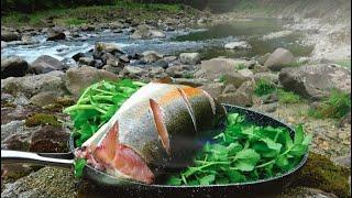 Remote NEW ZEALAND River WILD Trout Catch & Cook (Fly Fishing)