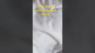 corrupt nature ahh brick