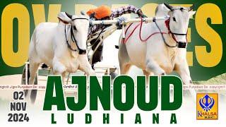 [Live] Ajnoud | Ludhiana | ਬੈਲ ਗੱਡੀਆਂ ਦੀਆਂ ਦੌੜਾਂ | Ox Races | 02 Nov 2024