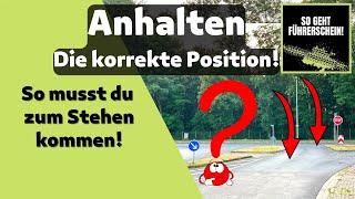 Richtig Anhalten! Finde die richtige Position auf der Straße! - Führerschein