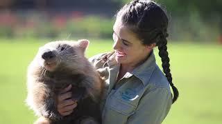 Symbio Wildlife Park | Experience Oz