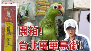 台灣最長鸚鵡街？開箱台北鳥街！【鸚鵡小木屋】【 Jack的開箱時間ep2】