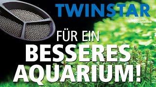 TWINSTAR! für ein besseres algenfreies Aquarium!