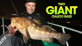 TWO GIANT CALICO BASS  |  9.5lb  / 8.5lb   |  ONE LEGENDARY NIGHT