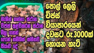 Pol leli chips Iපොල් ලෙලි කැබලි කිරීමේ වියාපරයI coconut Chips I Business ideas sinhala coconut husk