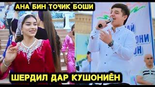 Ана Бин Точик Боши. Шердил Дар Кушониён.
