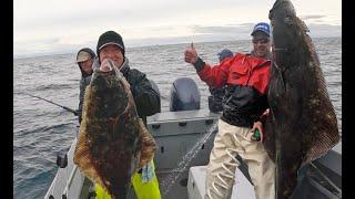 162lbs of Westport Halibut on Opening Day. We Like Big Butts & We Cannot Lie. How To Catch & Fillet.