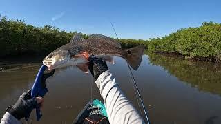 Florida Inshore Slam - Mosquito Lagoon