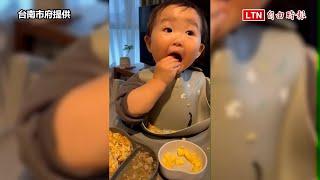 卡哇伊！1歲日本萌娃狂嗑台南鳳梨 跨海最佳代言人（台南市府提供）